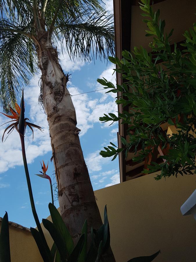 B&B Aloe Comfort Rooms San Vito Lo Capo Ngoại thất bức ảnh