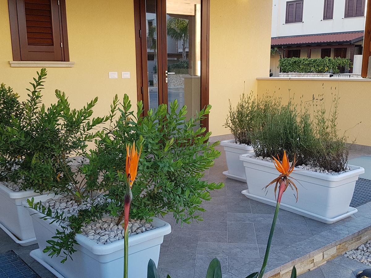 B&B Aloe Comfort Rooms San Vito Lo Capo Ngoại thất bức ảnh